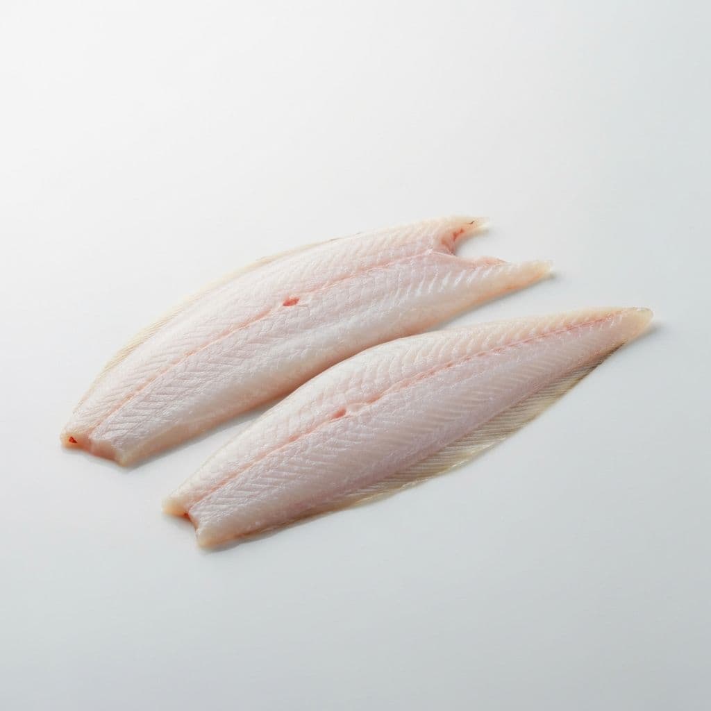 Flounder Fillet Fresh Fish